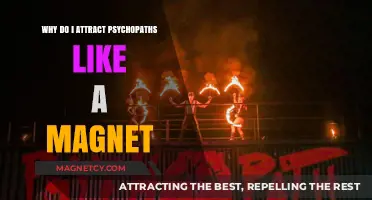 Why Psychopaths Are Drawn to Me: Unraveling the Magnetic Attraction