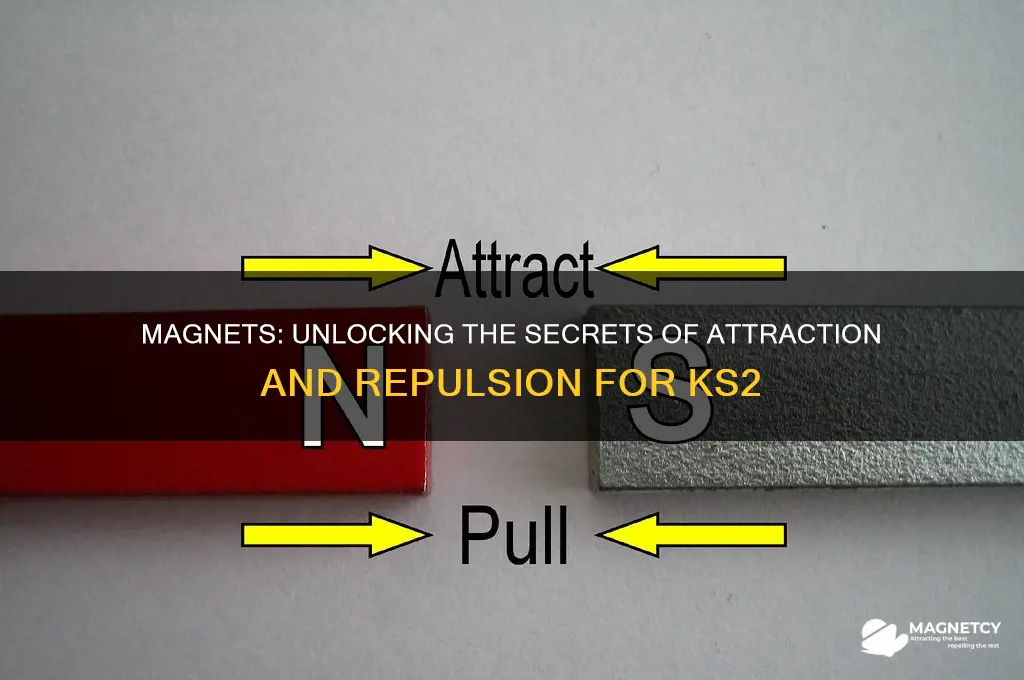 why do magnets attract and repel ks2