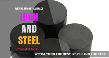 Why Magnets Attract Iron and Steel: Unraveling Magnetic Forces