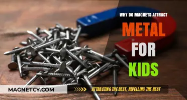 Why Magnets Love Metal: A Fun Science Adventure for Kids