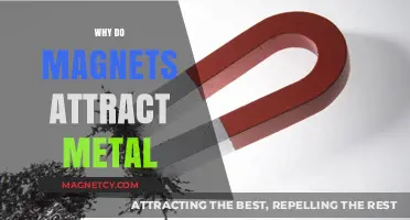 Why Magnets Attract Metal: Unveiling the Science Behind Magnetic Forces