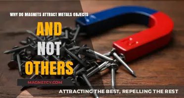 Magnetic Mysteries: Why Metals Stick and Others Resist Attraction