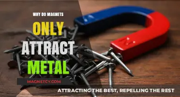 Why Magnets Only Attract Metal: Unraveling the Magnetic Mystery