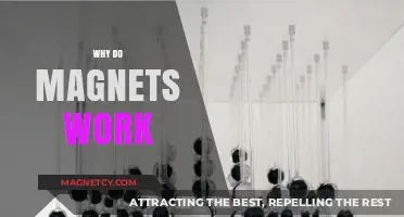 Unlocking the Mysteries: How Magnets Work and Why They Matter