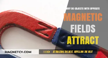 Opposite Magnetic Fields: Unraveling the Attraction Between Polarized Objects