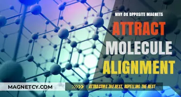 Opposite Magnets Attract: Unraveling the Science of Molecular Alignment
