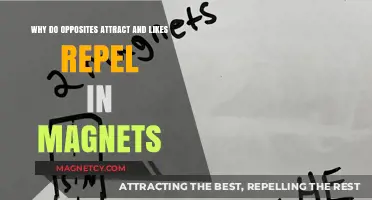 Magnetic Mysteries: Unraveling Opposites' Attraction and Likes' Repulsion