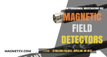 Unseen Forces: Why Paranormal Investigators Rely on Magnetic Field Detectors