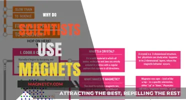 Magnetic Marvels: Unlocking Scientific Secrets with Powerful Magnets