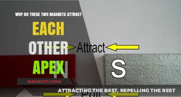 Why Magnets Attract: Unraveling the Apex of Magnetic Forces