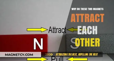 Magnetic Attraction Explained: Why Do These Two Magnets Pull Together?
