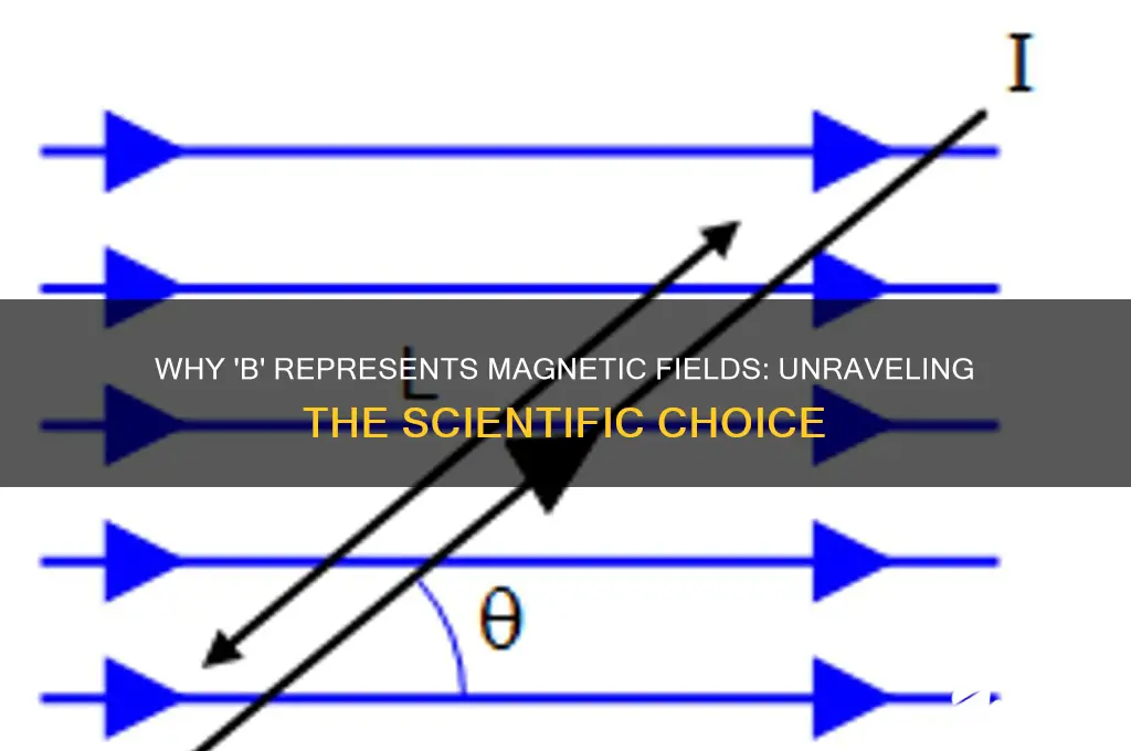 why do we use a b for representing magnetic fields