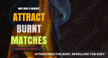 Burnt Matches and Magnets: Unraveling the Surprising Attraction Mystery