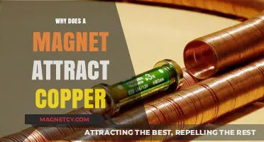 Why Magnets Attract Copper: Unveiling the Surprising Science Behind It