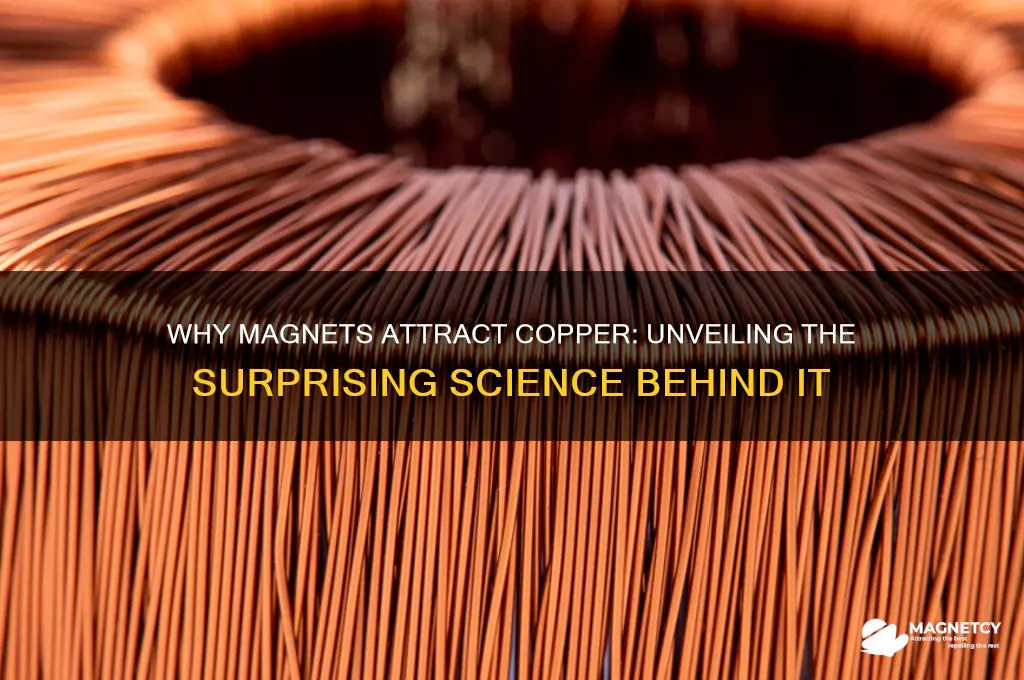 why does a magnet attract copper