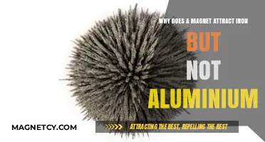 Magnetic Mysteries: Why Iron Attracts, But Aluminum Resists