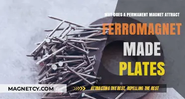 Why Permanent Magnets Attract Ferromagnetic Plates: The Science Explained