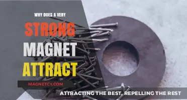 Unraveling the Science: Why Do Strong Magnets Attract So Powerfully?