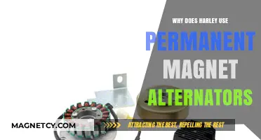 Why Harley-Davidson Relies on Permanent Magnet Alternators for Performance