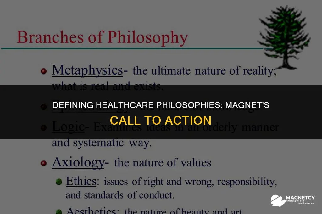 why does magnet ask healthcare organizations to define their philosophy