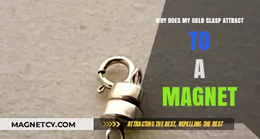 Why Your Gold Clasp Magnetically Attracts: Unveiling the Hidden Truth