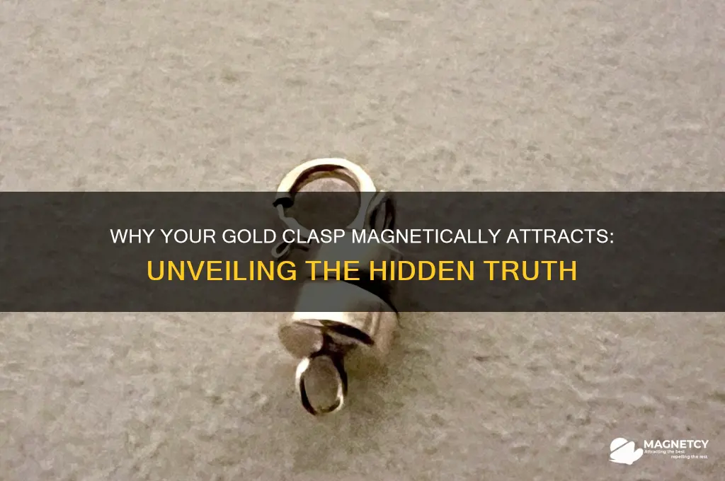 why does my gold clasp attract to a magnet