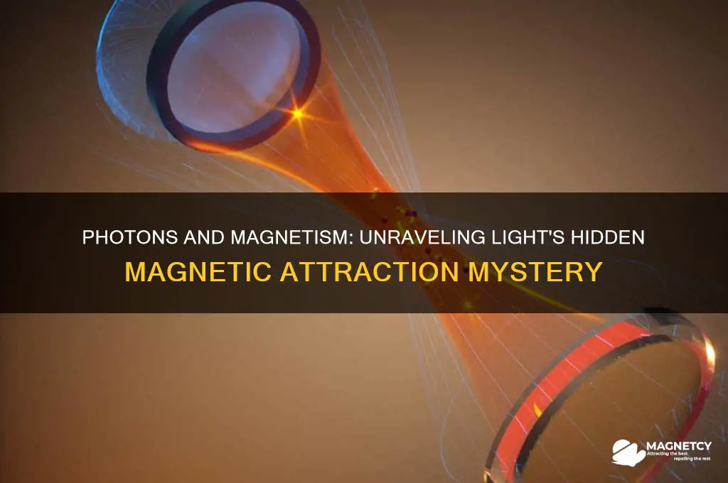 why does photons attract magnet but not light