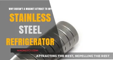 Why Stainless Steel Fridges Resist Magnets: Unraveling the Mystery