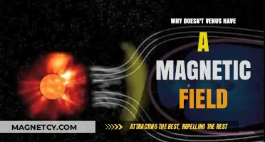 Unveiling Venus: The Mystery of Its Absent Magnetic Field