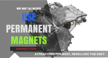 Why Not All Motors Use Permanent Magnets: Exploring Alternatives