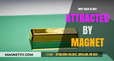 Why Gold Resists Magnetic Attraction: Unveiling the Science Behind It
