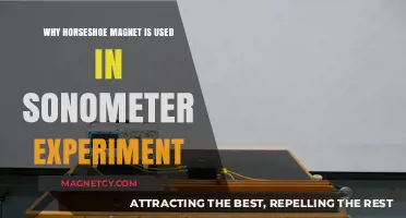 Horseshoe Magnet's Role in Sonometer Experiments: Enhancing Precision and Accuracy