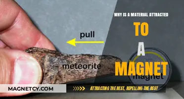 Understanding Magnetic Attraction: Why Materials Are Drawn to Magnets