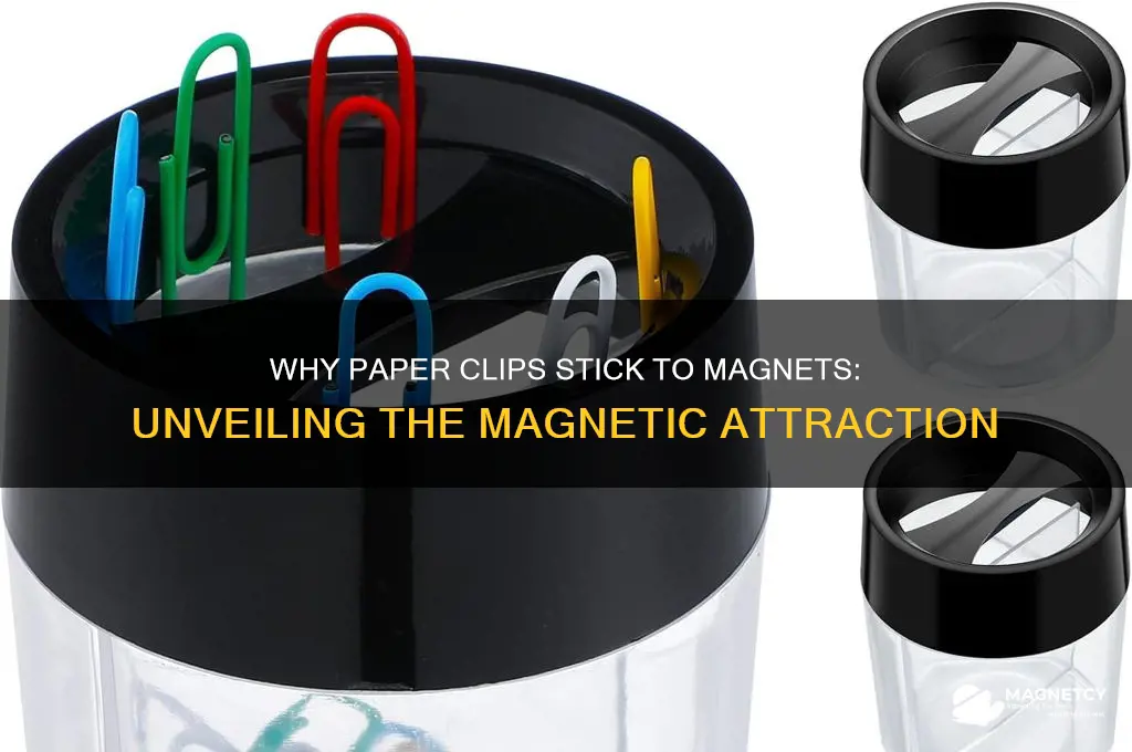 why is a paper clip attracted to a magnet