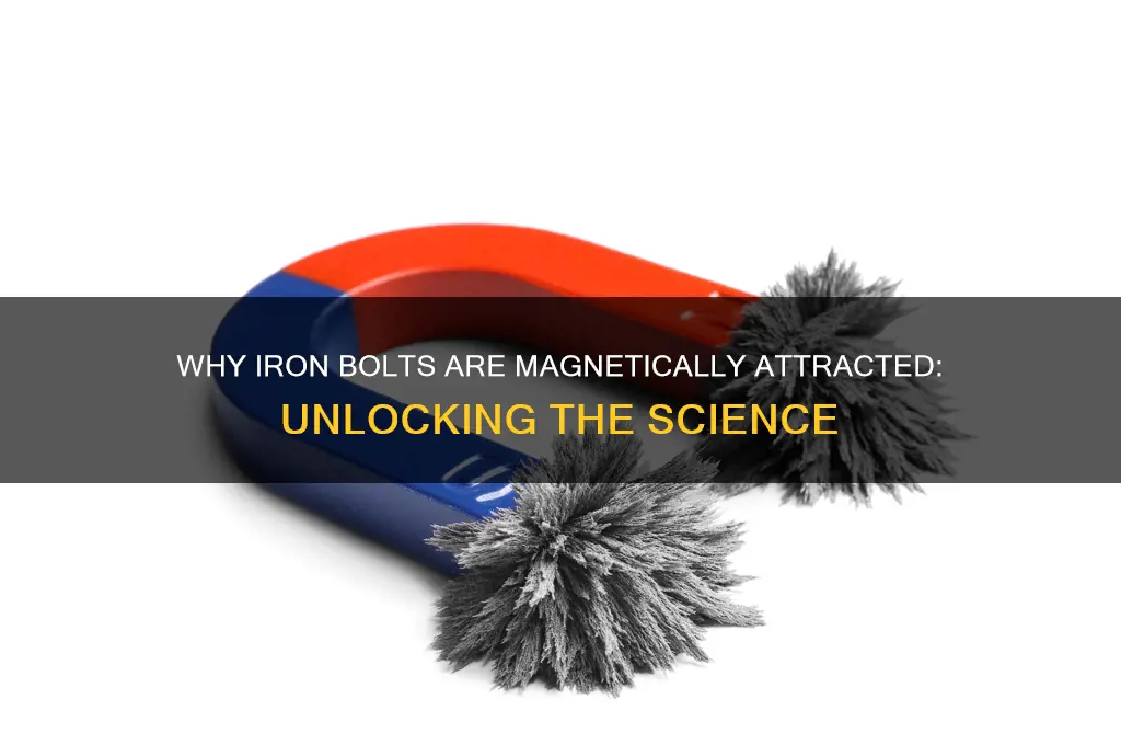 why is an iron bolt attracted to a magnet