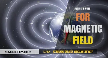 Why B Represents Magnetic Field: Unraveling the Historical and Scientific Choice