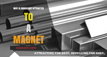 Why Brass Resists Magnetic Pull: Unveiling the Science Behind It