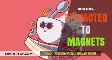 Magnetic Mystery: Why Cereal is Drawn to Magnets Explained