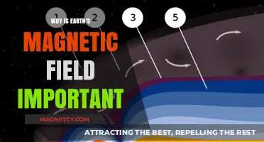 Shielding Life: The Vital Role of Earth's Magnetic Field