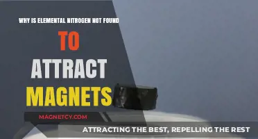 Why Elemental Nitrogen Defies Magnetic Attraction: Unraveling the Science