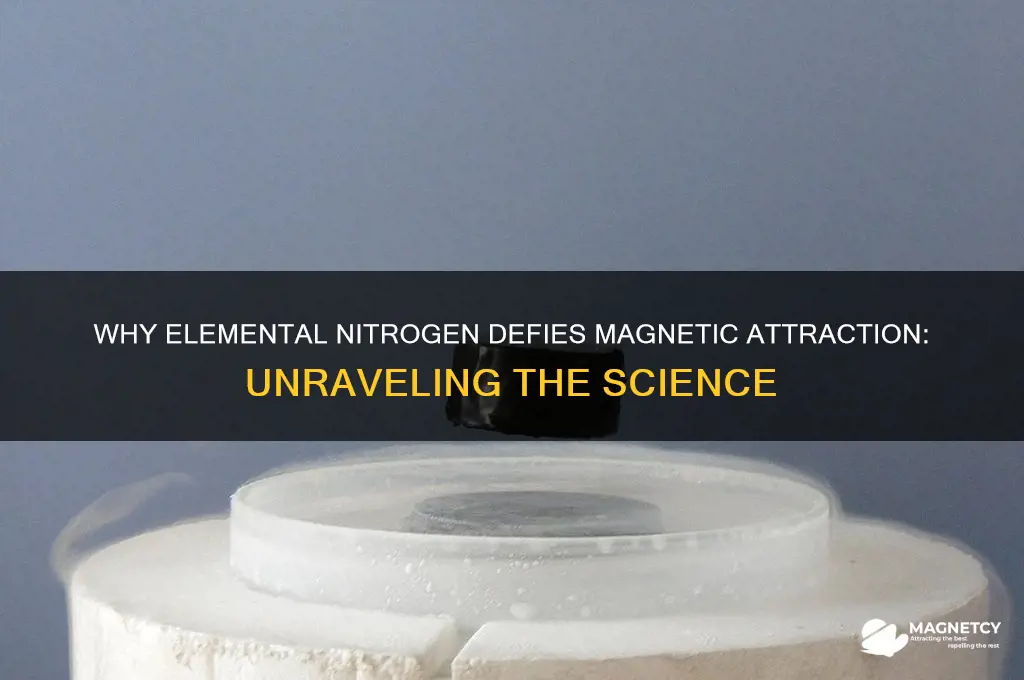 why is elemental nitrogen not found to attract magnets