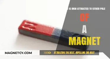 Why Iron is Drawn to Both Poles of Magnets