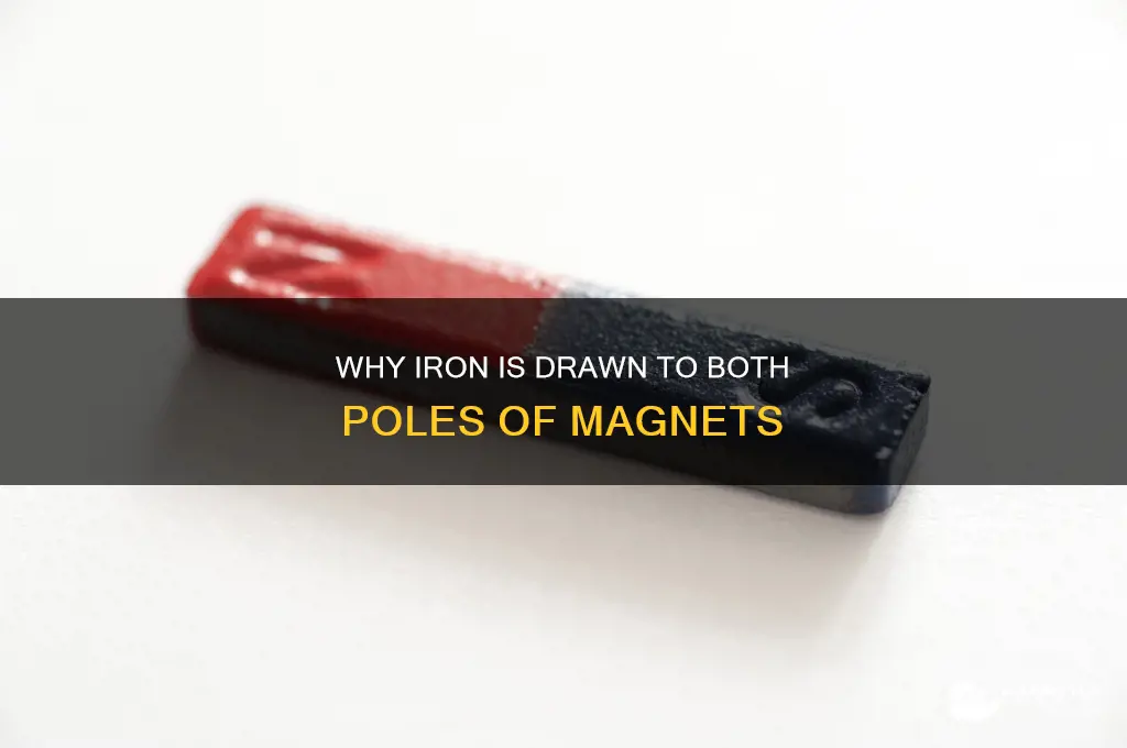 why is iron attracted to either pole of a magnet