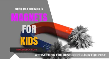 Why Iron Loves Magnets: A Kid-Friendly Science Explanation