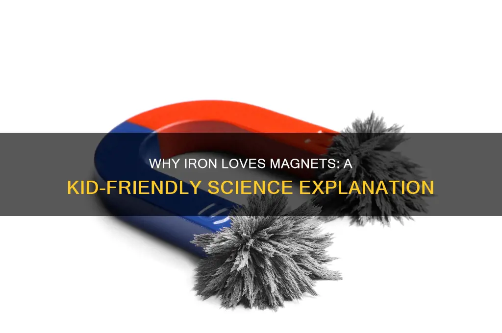 why is iron attracted to magnets for kids