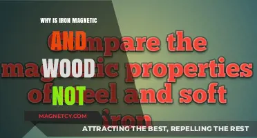 Exploring Magnetism: Why Iron Attracts and Wood Repels