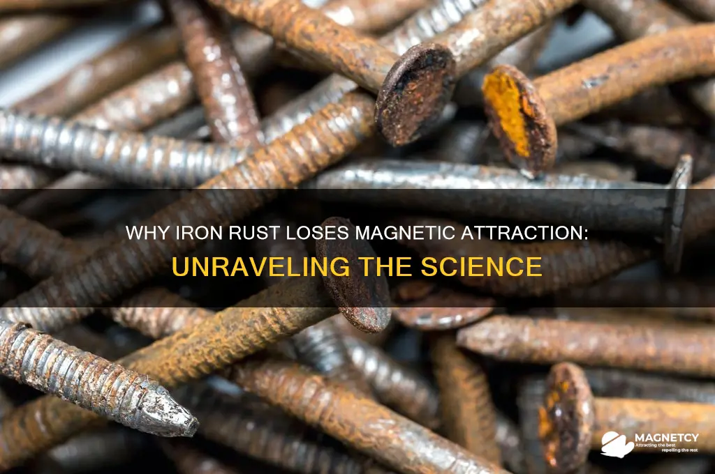 why is iron rust not attracted to a magnet
