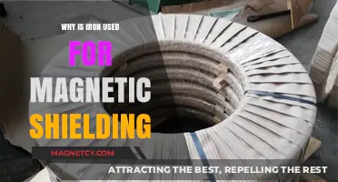Iron's Role in Magnetic Shielding: Essential Properties and Applications