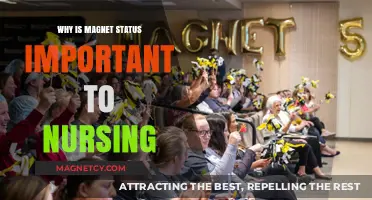 Understanding Magnet Status: A Key to Excellence in Nursing Practice