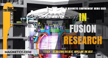 Magnetic Confinement: The Key to Unlocking Clean Fusion Energy